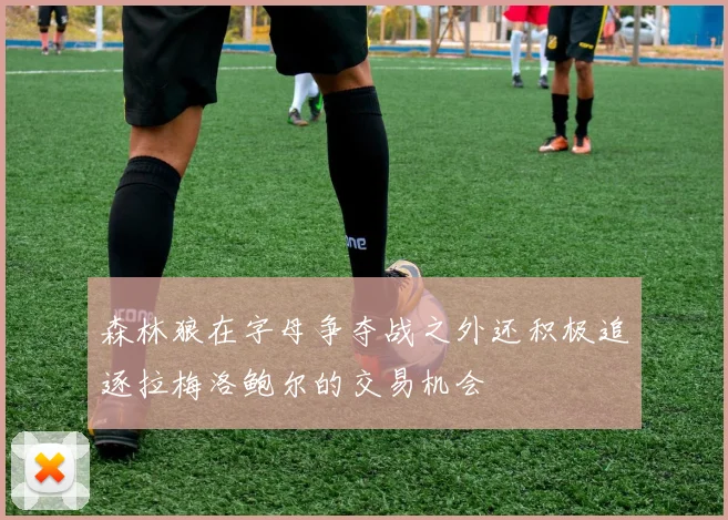 森林狼在字母争夺战之外还积极追逐拉梅洛鲍尔的交易机会