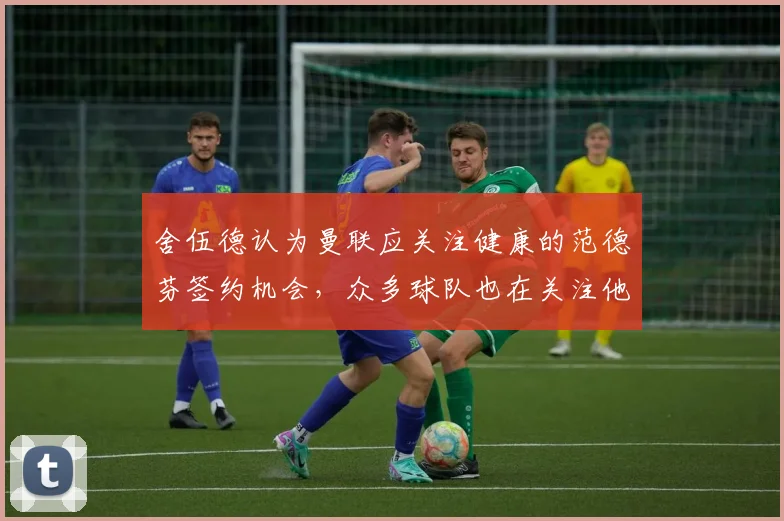 舍伍德认为曼联应关注健康的范德芬签约机会，众多球队也在关注他