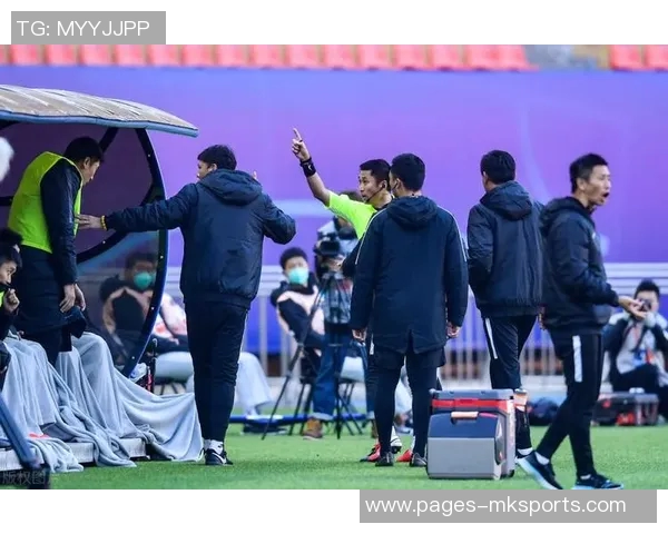 戈麦斯飞踹维尔茨引发争议前英裁判主管称应严惩罚下场